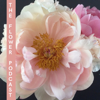 The Flower Podcast - Scott Shepherd, Host and Flower Educator