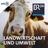 Landwirtschaft und Umwelt