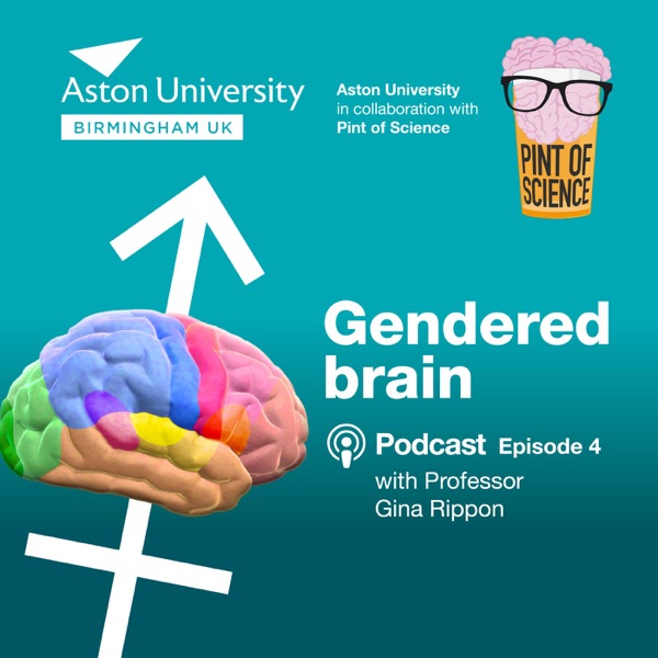 Pint of Aston: A Pint of Science mini-series. Episode 4: The gendered brain with Professor Gina Rippon photo
