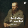 Sesli Kitap Emekçileri - Şaban Demir