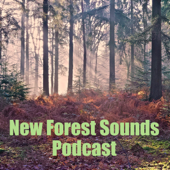 New Forest Sounds - newforestsounds.co.uk