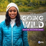 Together For Conservation: WCS Wild Audio Season 2 Premiere