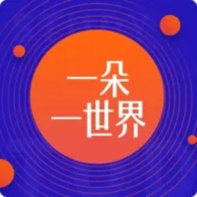 小学生聊《哈利波特》,JK罗琳的少女粉丝 小学生聊《哈利波特》,JK罗琳的少女粉丝