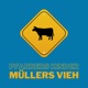 Müllers Vieh