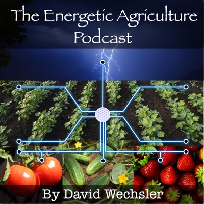 The Energetic Agriculture Podcast:Electroculture Growers - David Wechsler & Ray-Lee Bacon