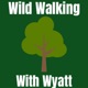 Wild Walking With Wyatt