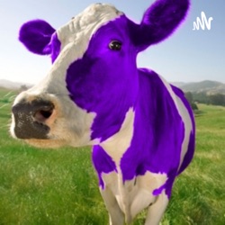 Home is Where the Herd Is! Welcome to The Purple Cow