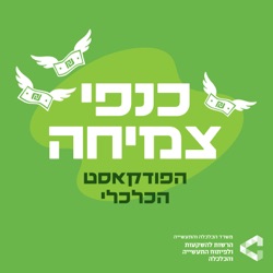 פרק 3: חדשנות מעידן האבן