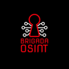 Brigada Osint - Aimery Parekh