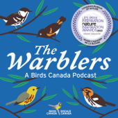 The Warblers by Birds Canada - Andrea Gress for Birds Canada