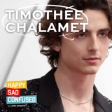 Timothee Chalamet (2017)