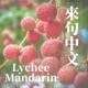  Learn Taiwanese Mandarin with News 《來句中文 Lychee Mandarin》