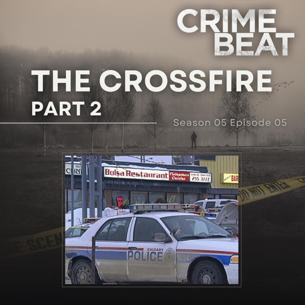 The Crossfire Part 2  | 5 photo