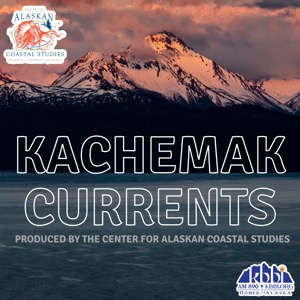 Kachemak Currents