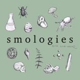 Smologies #39: ANCIENT ROME with Darius Arya