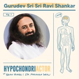 Gurudev Sri Sri Ravi Shankar / Peaceful Living