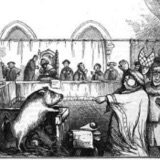 The pig that killed a King