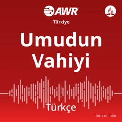 TURBE_ROHx_20240701_2