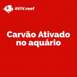 Quanto de comida devo dar aos meus peixes?