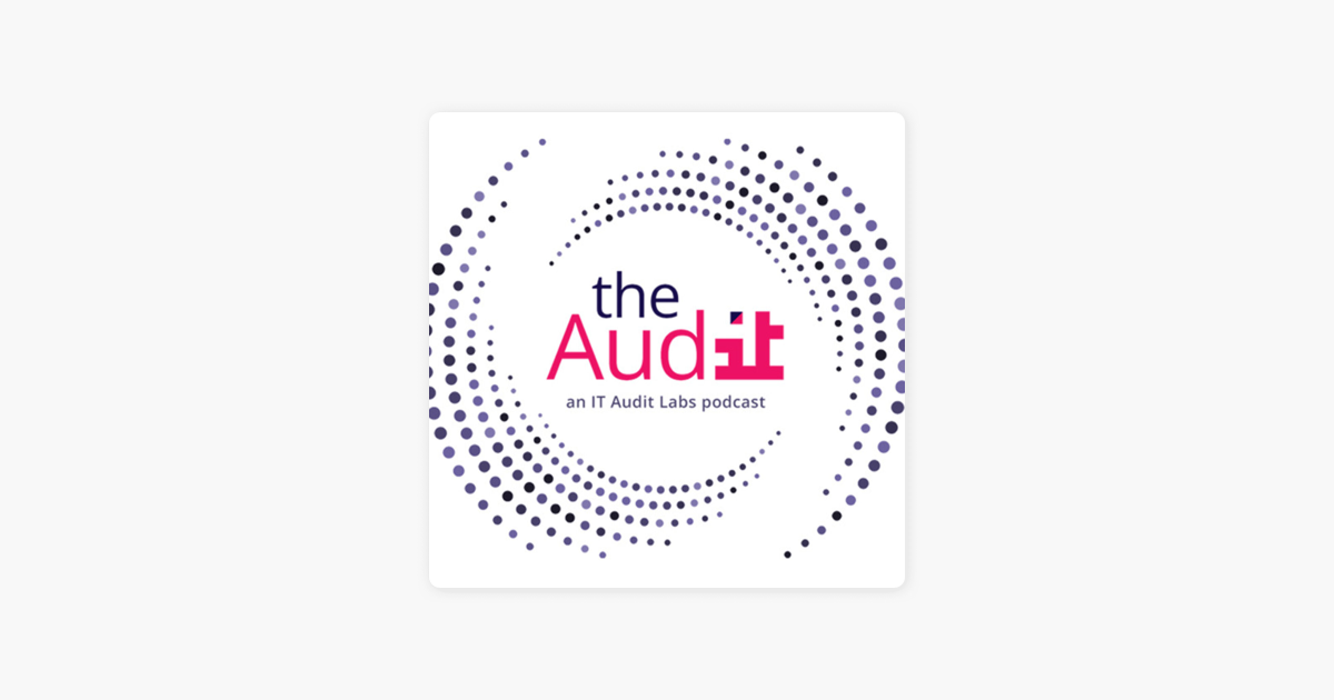 ‎The Audit on Apple Podcasts