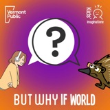 But Why If World (with Jane Lindholm)