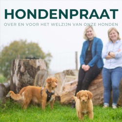 #16 Hondenpraat - Een bezoek aan de dierenarts: hel of fun?