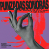 Punzadas Sonoras - Radio Primavera Sound