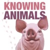 Knowing Animals