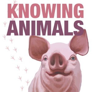 Knowing Animals