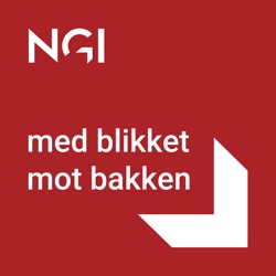 NGI - Med blikket mot bakken