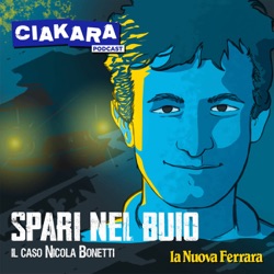 Spari nel buio - Il caso Nicola Bonetti