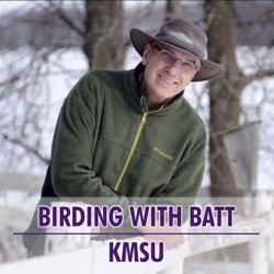 Birding with Al Batt on May 7, 2024