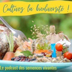 Episode 8 – Rencontre 4 – Lauriane. Mouture, levain, gluten : mythe ou réalité ?