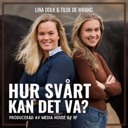 Hur svårt kan det va?