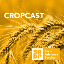 CropCast