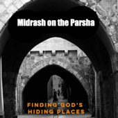 Midrash on every Parsha in the Torah. An intriguing pathway to a deeper understanding of Judaism. - Yoni Mozeson