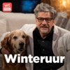 Winteruur