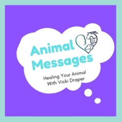 Animal Messages