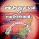 the windy bog road of motherhood: special needs edition