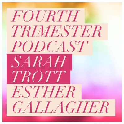 Fourth Trimester: The First Months and Beyond | Parenting | Newborn Baby | Postpartum | Doula:Sarah Roselinda Trott