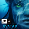 Iniciativa Pod Más Avatar 2: El Sentido del Agua - Iniciativa Pod Más