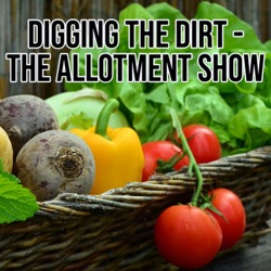 Allotment rules, your favourite tools and 4 candles! - Digging the Dirt - The Allotment Garden Show. Episode 18. 15th August 2021.