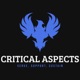 Critical Aspects of Law Enforcement 