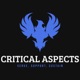 Critical Aspects of Law Enforcement 