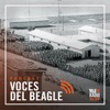 Voces del Beagle