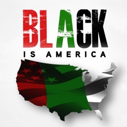 Black Is America: The Final Chapter