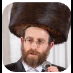 Shoavei Mayim Podcast featuring Rov Yoir Adler