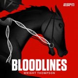 Trailer: Bloodlines