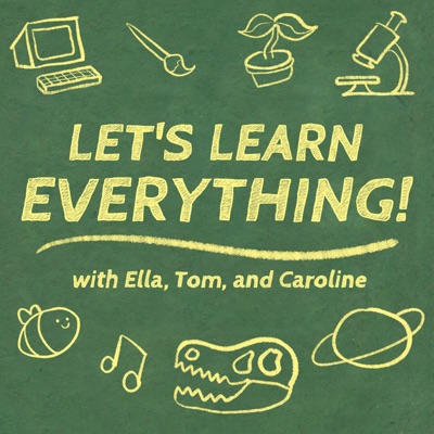 Let's Learn Everything!:Maximum Fun