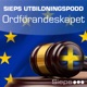 Europaparlamentet – granskare, partner och motpart